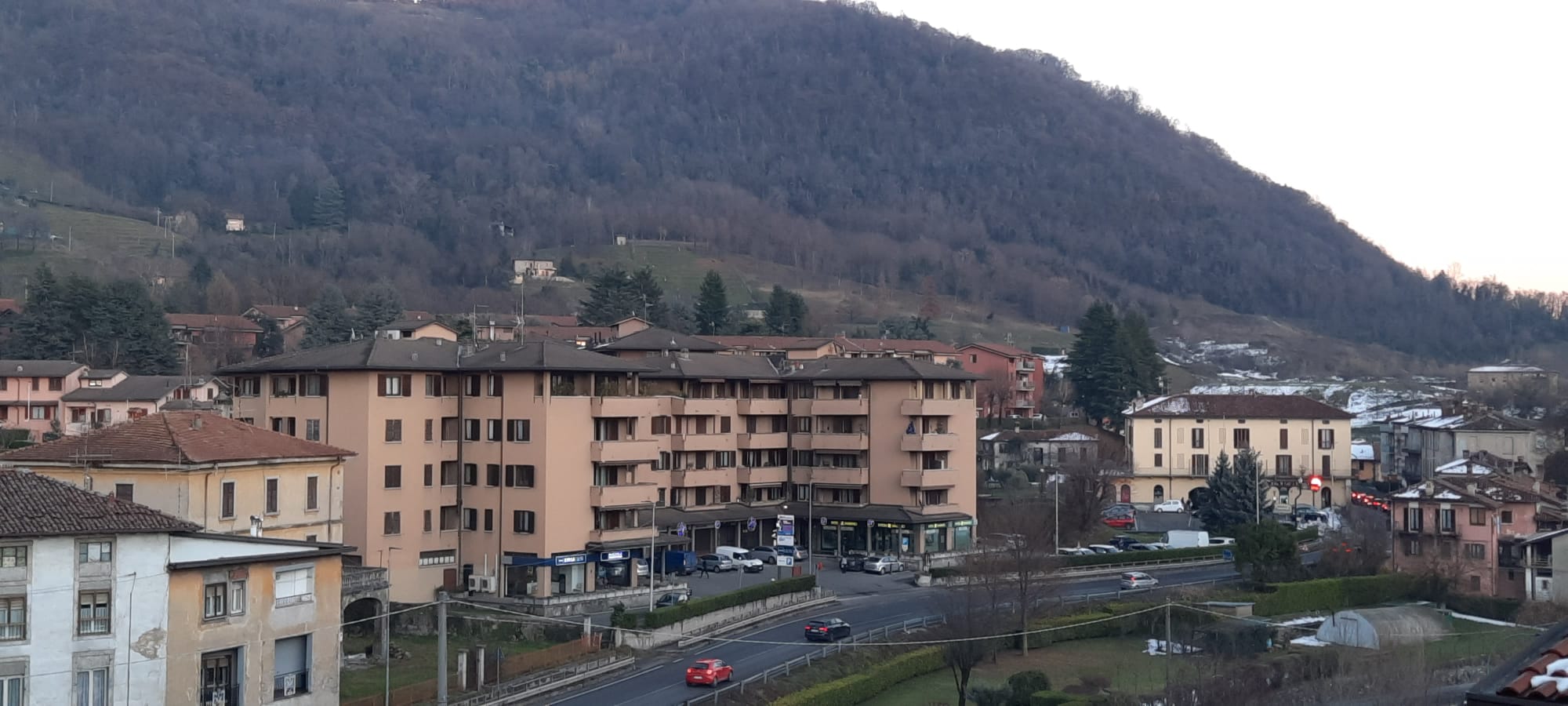 Cod.9993 - Terreno agricolo in parte boschivo a Caprino b.